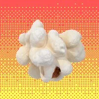 Popcorn