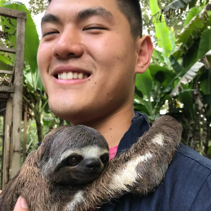 AJ Ding